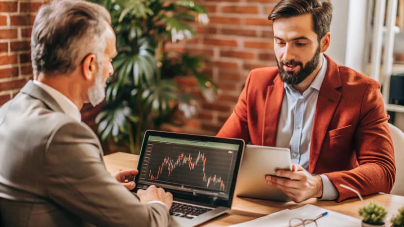 Fringilla Mus Phasellus Duisenectus